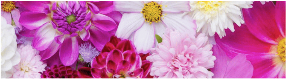 DONE® Tischläufer FLORA SUMMER FLOWERS 40x150cm